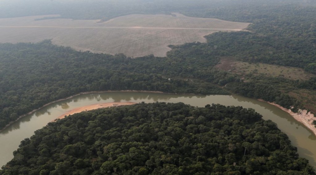 Amazon forests