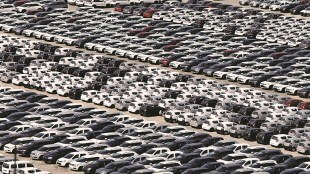 Auto Sector