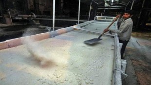 Bajaj Hindusthan sugar