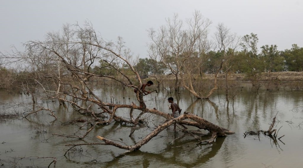 Climate Change 03 (Reuters)