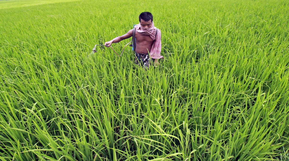 Fertiliser prices, Russia Ukraine war, farm inputs Fertiliser prices, Russia Ukraine war, farm inputs
