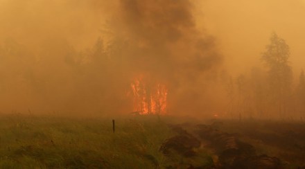 Last year’s summer wildfires in Yakutia in Russia’s Siberian region produced record carbon emissions. (Reuters)