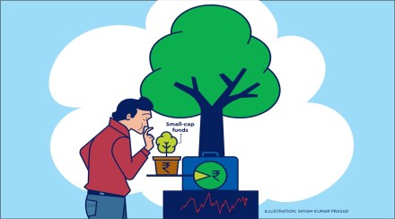 Investing in small cap mutual funds