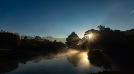 The state will market its products in different fora, both inside and outside the country, to introduce the new products to a wider audience. (Kerala Tourism)