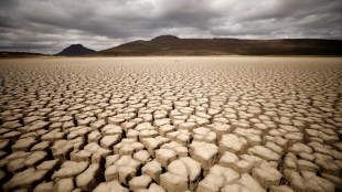 climate change