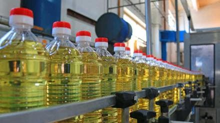 Sunflower oil prices, which have shot up by about 25-30% in recent days, are expected to surge further. India’s 90% of sunflower oil imports come from the Black Sea region of Ukraine and Russia. (File Photo: PTI)