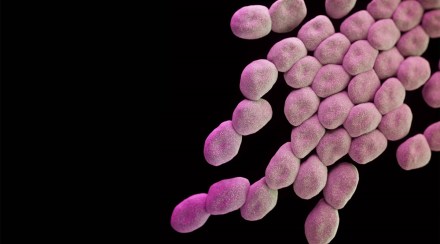 Ukraine pathogens Reuters
