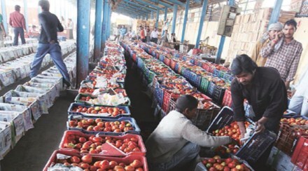 agri business