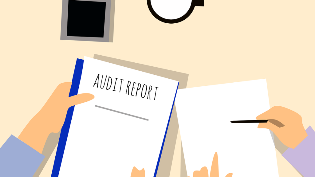 business audit