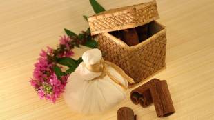 Having designed the study, Dr Ernst will mentor the researchers. (IE via Pixabay)