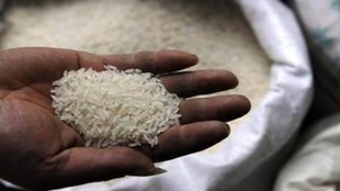 basmati-rice