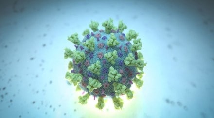Deltracron, the Covid variant has recorded cases in the UK, France, Netherlands, Denmark.