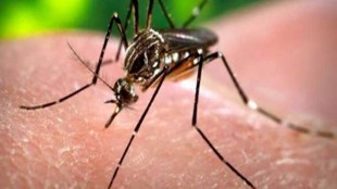 Takeda, Dengue vaccine, TAK-003, dengue outbreak, health news,