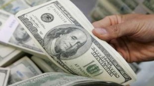 dollar
