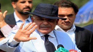 download shehbaz