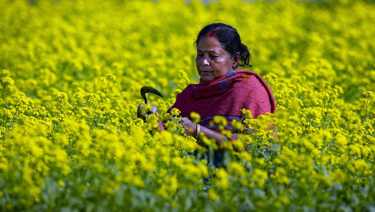 From Plate to Plough: How to ensure farm & food atmanirbharta