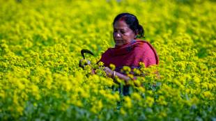 From Plate to Plough: How to ensure farm & food atmanirbharta