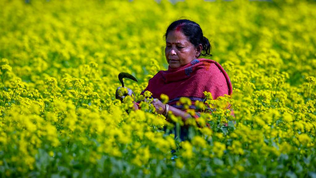 From Plate to Plough: How to ensure farm & food atmanirbharta From Plate to Plough: How to ensure farm & food atmanirbharta