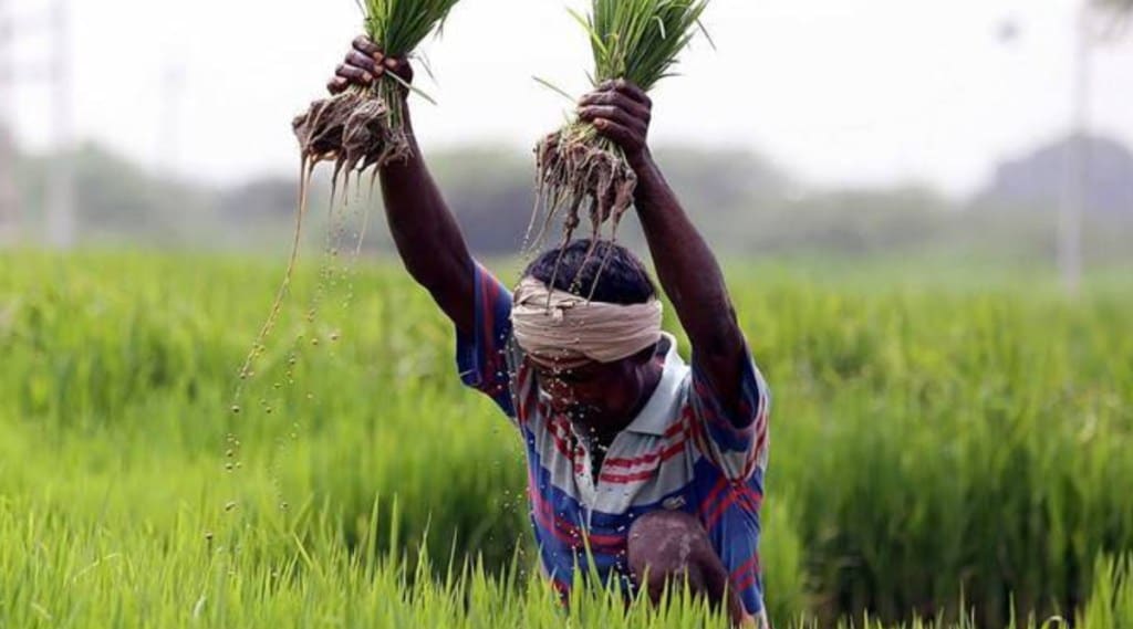The agri-infra fund set up in 2020 aims at providing a medium to long-term debt financial facility till 2025-26.