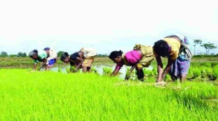 The objective of the scheme is promoting natural farming in areas where chemical farming has not reached yet. The objective of the scheme is promoting natural farming in areas where chemical farming has not reached yet.