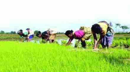 The objective of the scheme is promoting natural farming in areas where chemical farming has not reached yet.
