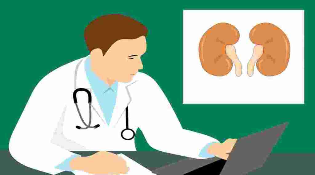 Many kidney diseases are preventable if detected early . (Image: Pixabay)