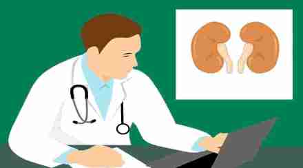 Many kidney diseases are preventable if detected early . (Image: Pixabay)