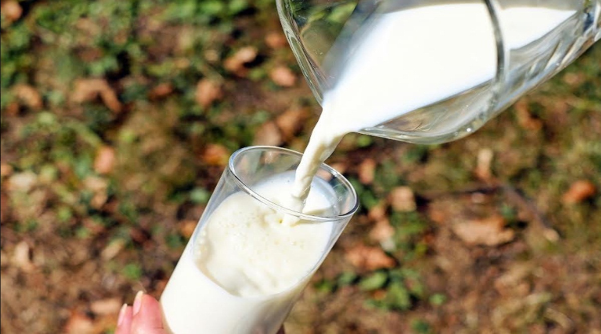 milk product milk product