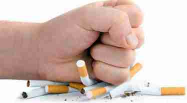 tobacco, world tobacco day, say no to smoking, health news,