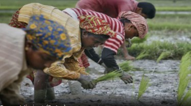 rural women