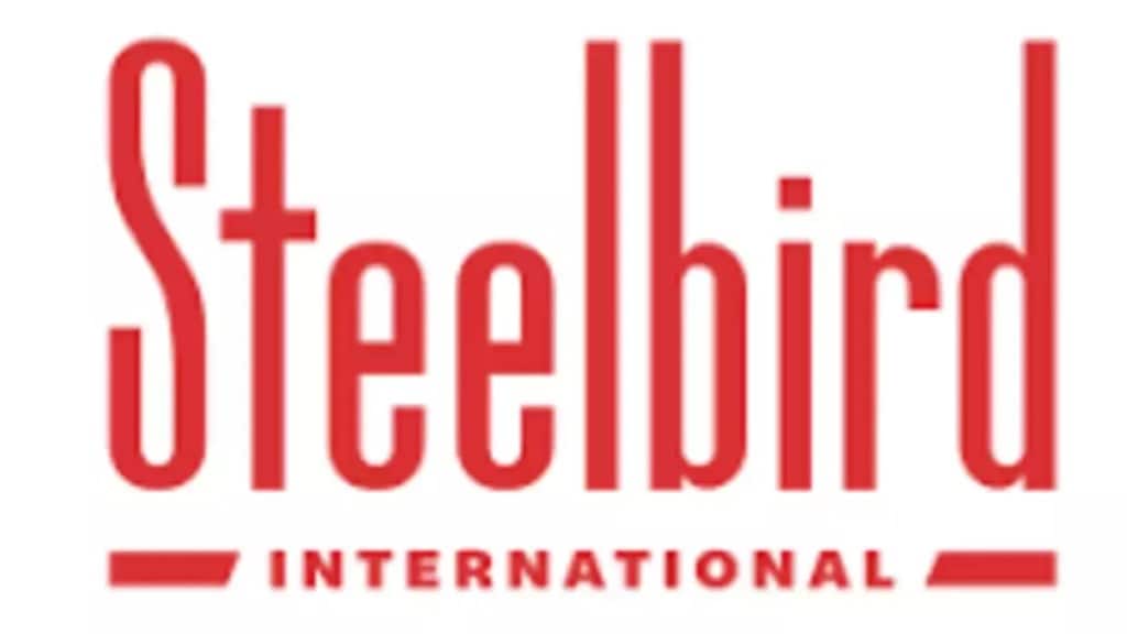 steelbird cyber security solutions