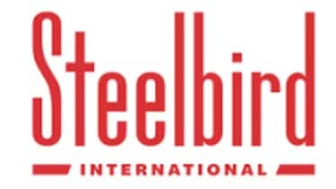 steelbird cyber security solutions