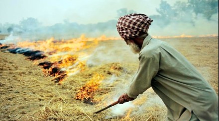 stubble burning
