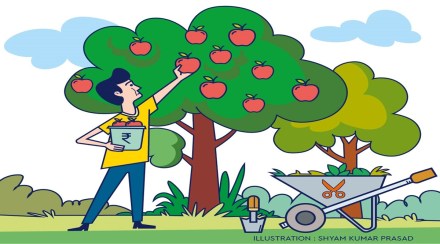 tax harvesting