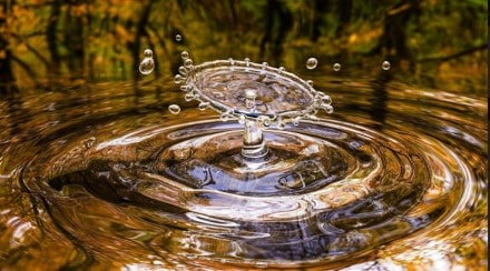 water day pic