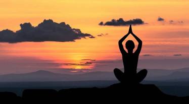 Grand Master Akshar, Akshar Yoga, Yoga, yoga day, Sunil Gavaskar, Matthew Hayden, yogapreneur, lifestyle coach