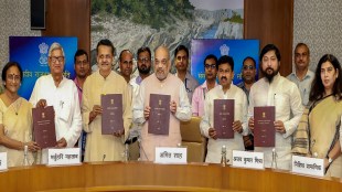 Union Home Minister Amit Shah presiding over the 37th meeting of the Parliamentary Committee on Official Language, in New Delhi (PTI Image)