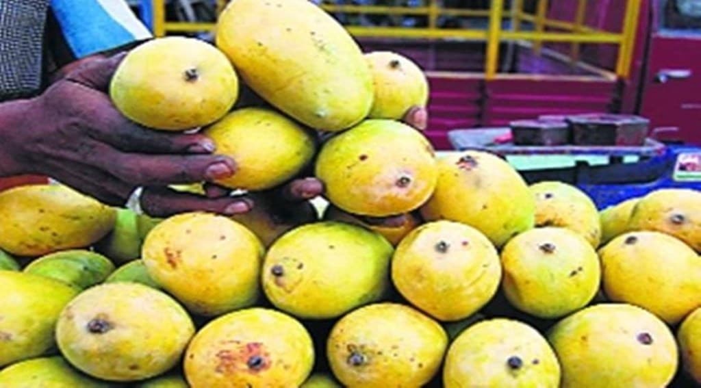 “Extreme heat conditions would impact mango and lychee fruits which are mainly grown in northern and western parts of the country,” Kripan Ghosh, head, agriculture, Meteorology Division, IMD, told FE on Friday. He said that district level impact-based forecasts are being issued to farmers to take adequate measures to protect their crop.