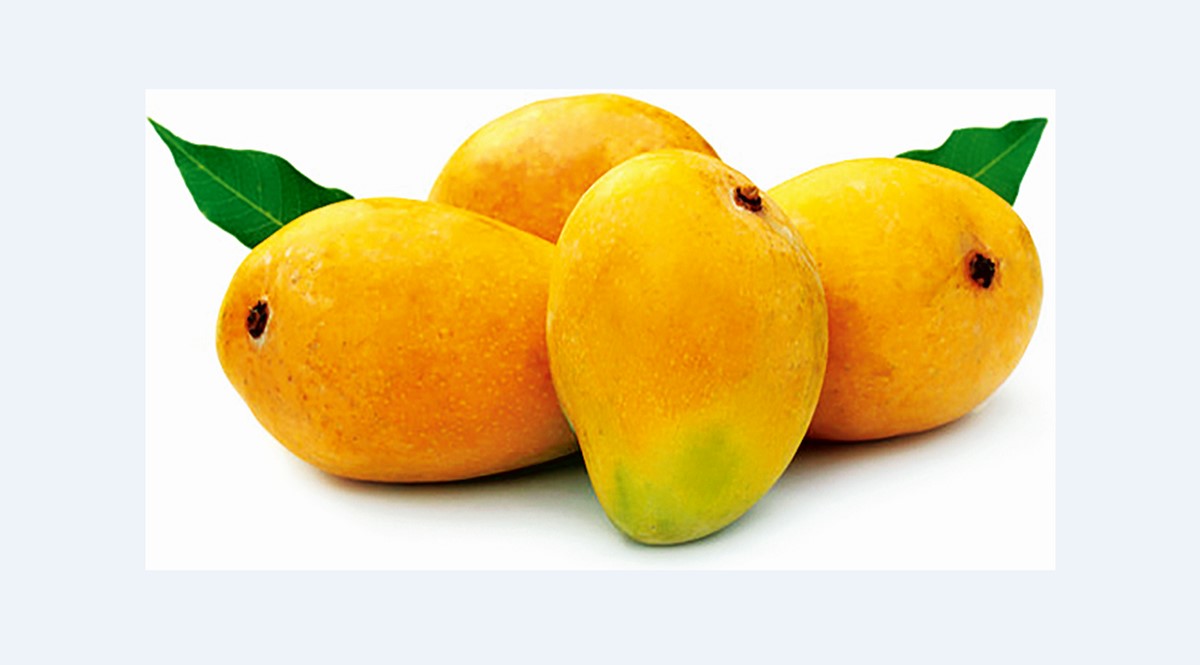 Even if it is the beginning of the mango season, the demand for the fruit has shot up. Almost all the boxes are sold out by the end of each day.