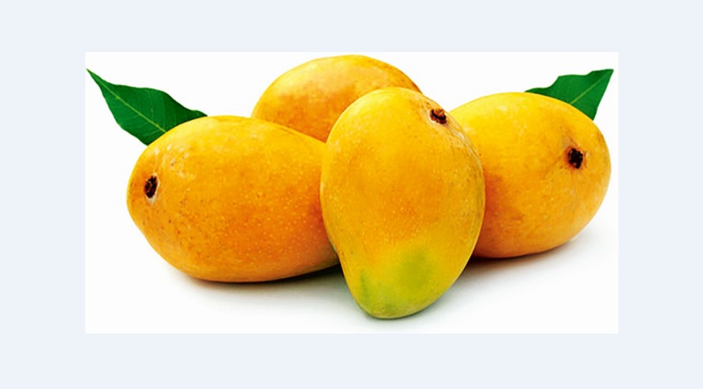 Even if it is the beginning of the mango season, the demand for the fruit has shot up. Almost all the boxes are sold out by the end of each day. Even if it is the beginning of the mango season, the demand for the fruit has shot up. Almost all the boxes are sold out by the end of each day.