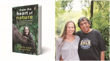 The results of such tests often do not correlate with human responses when the same tests are done on humans.