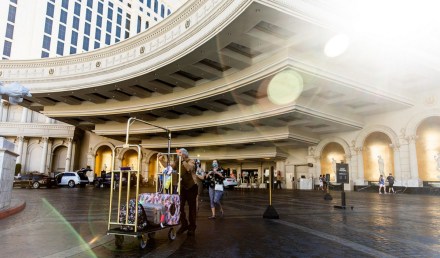 hotel, hospitality industry, international travel, flight, tourists, travel, room rate, occupancy, business travel, staycation, leisure travel