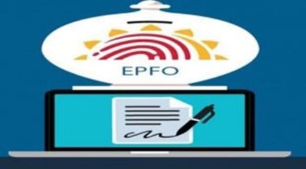 Provident fund, PF balance check, UAN, PF balance check SMS, Unified Portal, PF balance check missed call Provident fund, PF balance check, UAN, PF balance check SMS, Unified Portal, PF balance check missed call