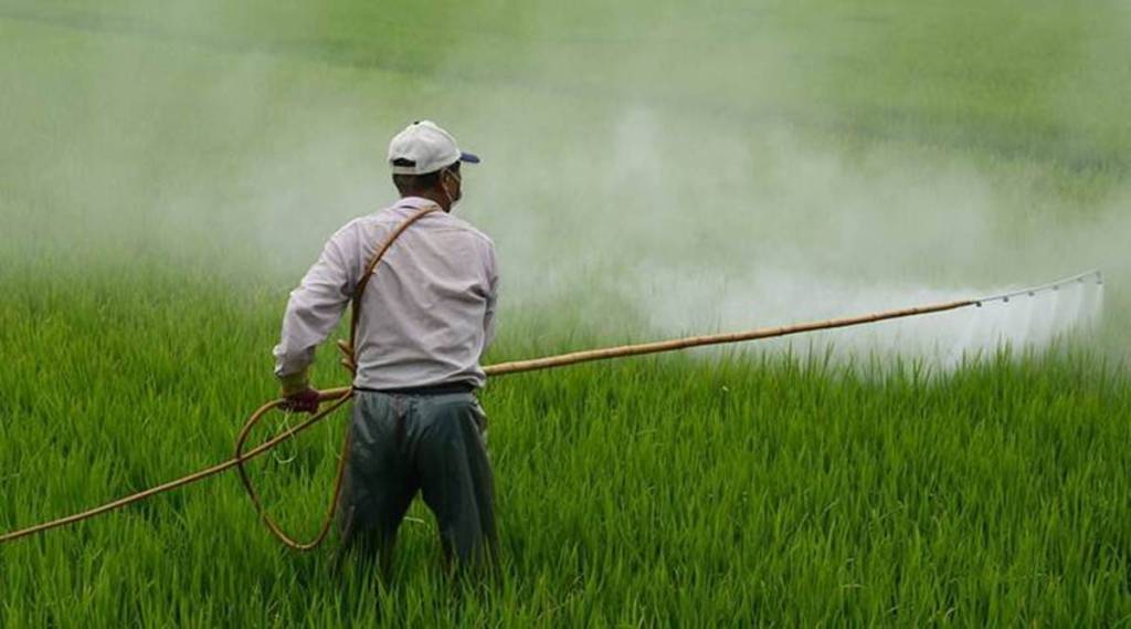 Pradhan Mantri Fasal Bima Yojana aims at providing financial support to farmers facing crop loss/damage due to natural calamities. (File)