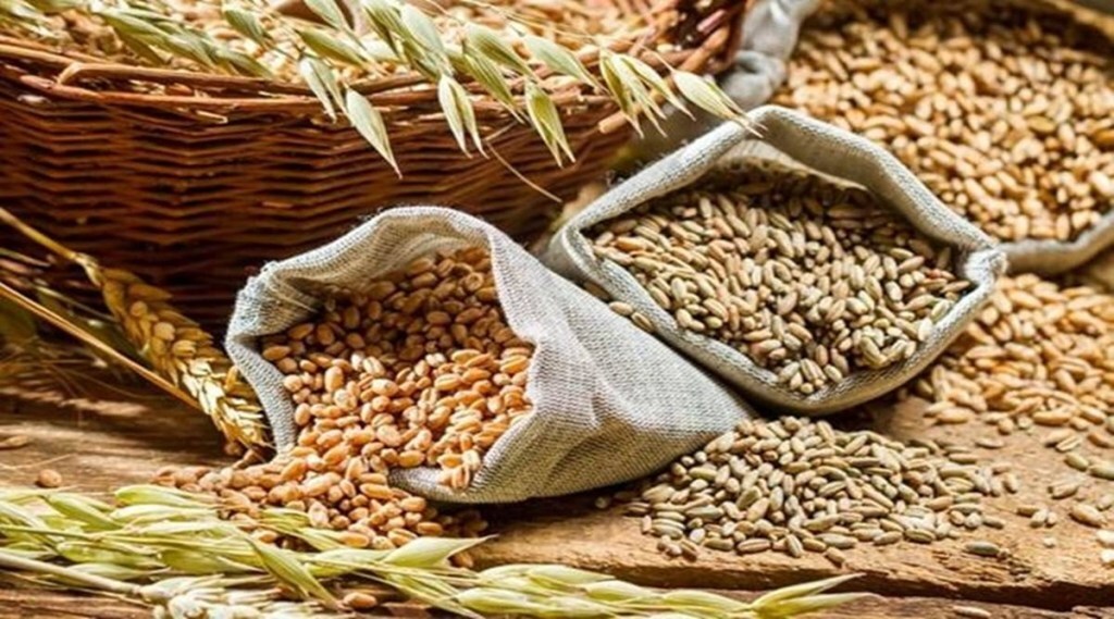 In another reply, she said India has exported seafood products worth USD 7.16 billion in April-February 2021-22, which is an all-time high export of marine products. (File)