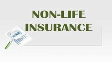 Non-life insurance Non-life insurance