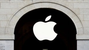 apple