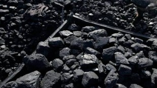 coal stock
