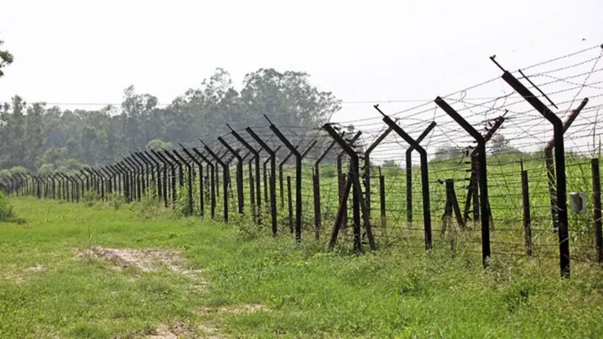 Not all of this trade is legal. The illegal timber trade is estimated to be between $10 - $30 billion annually, with India as the third-largest destination for illegally logged wood. Not all of this trade is legal. The illegal timber trade is estimated to be between $10 - $30 billion annually, with India as the third-largest destination for illegally logged wood.