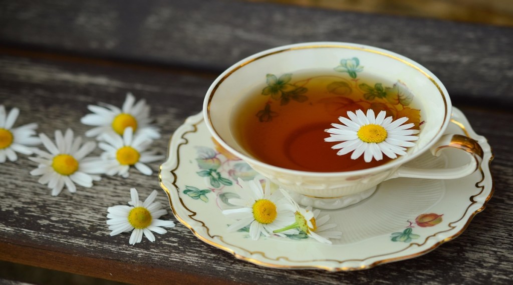 chai chun tea boutique chai chun tea boutique
